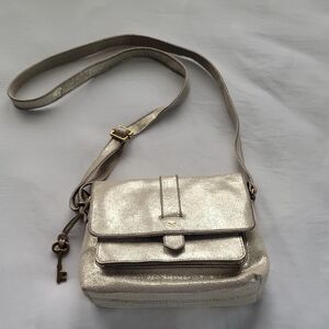 Fossil Shimmering Silver Crossbody Bag